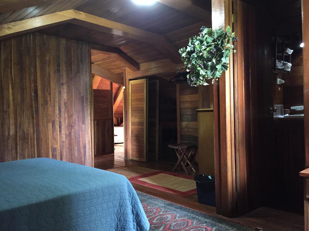 Chalet Nicholas Bed & Breakfast Nuevo Arenal Bagian luar foto